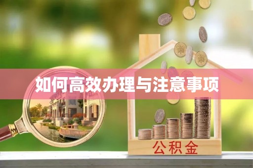 蔡甸如何高效办理与注意事项