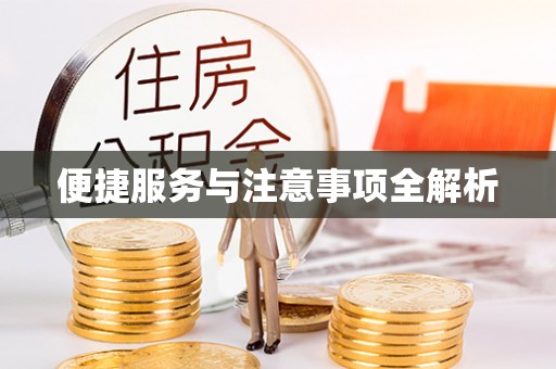 蔡甸便捷服务与注意事项全解析