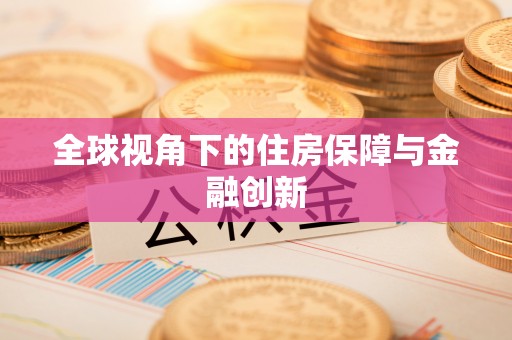 蔡甸全球视角下的住房保障与金融创新