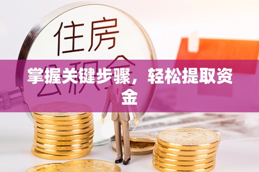 蔡甸掌握关键步骤，轻松提取资金