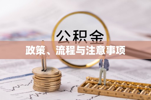 蔡甸政策、流程与注意事项