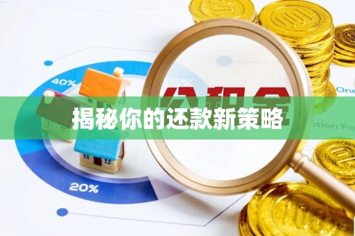 蔡甸揭秘你的还款新策略