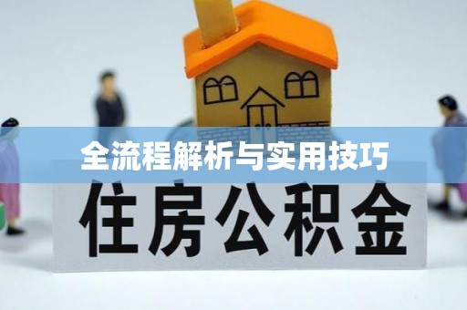 蔡甸全流程解析与实用技巧