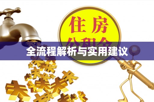蔡甸全流程解析与实用建议