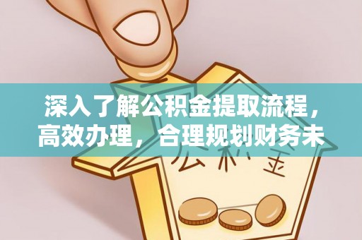 蔡甸深入了解公积金提取流程，高效办理，合理规划财务未来