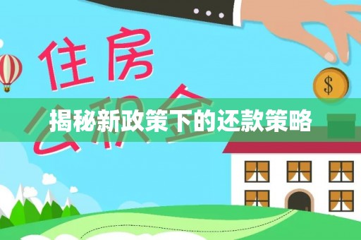 蔡甸揭秘新政策下的还款策略