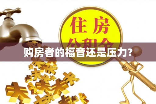 蔡甸购房者的福音还是压力？