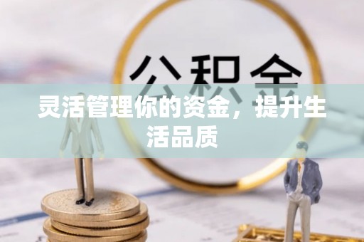 蔡甸灵活管理你的资金，提升生活品质