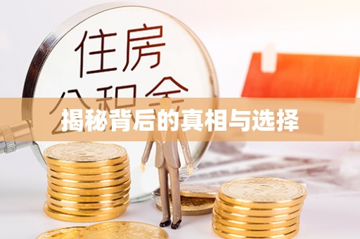 蔡甸揭秘背后的真相与选择