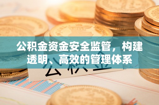 蔡甸公积金资金安全监管，构建透明、高效的管理体系
