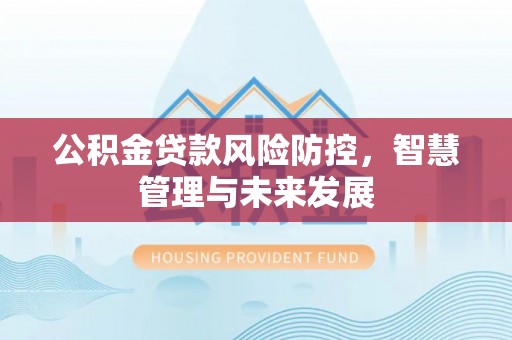 蔡甸公积金贷款风险防控，智慧管理与未来发展