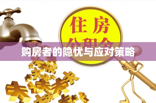 蔡甸购房者的隐忧与应对策略