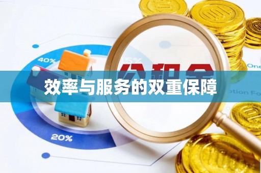 蔡甸效率与服务的双重保障