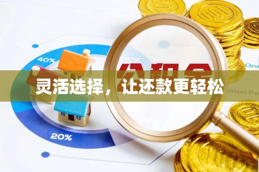 蔡甸灵活选择，让还款更轻松