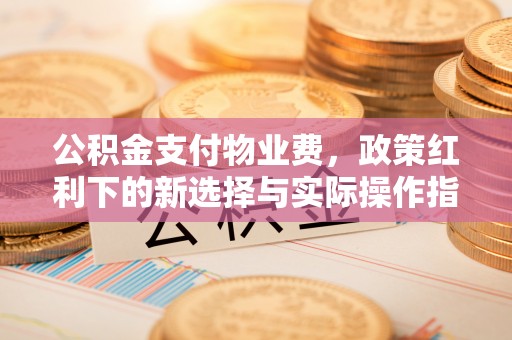 蔡甸公积金支付物业费，政策红利下的新选择与实际操作指南