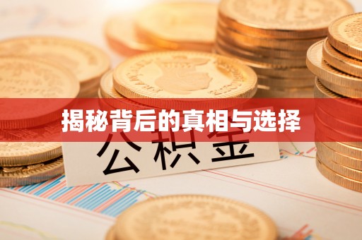 蔡甸揭秘背后的真相与选择
