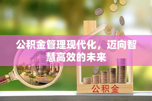 蔡甸公积金管理现代化，迈向智慧高效的未来