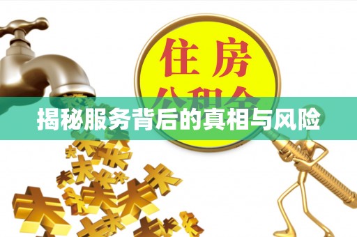 蔡甸揭秘服务背后的真相与风险