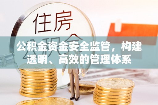 蔡甸公积金资金安全监管，构建透明、高效的管理体系