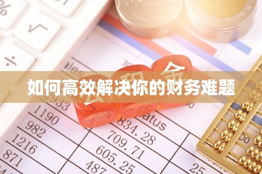 蔡甸如何高效解决你的财务难题