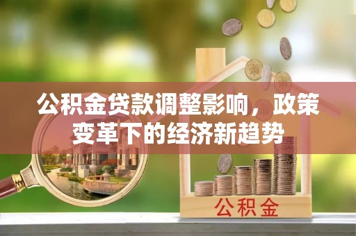 蔡甸公积金贷款调整影响，政策变革下的经济新趋势