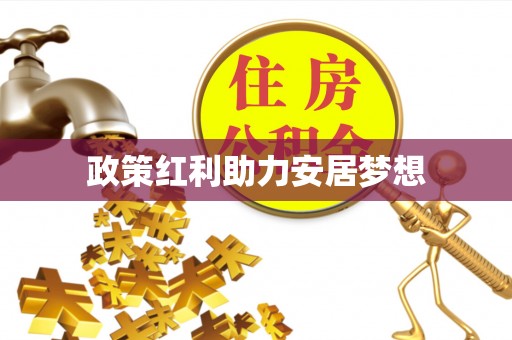 蔡甸政策红利助力安居梦想