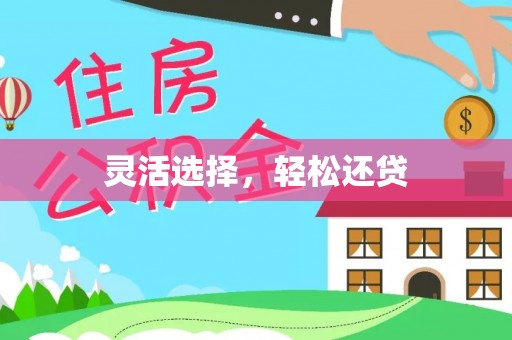 蔡甸灵活选择，轻松还贷