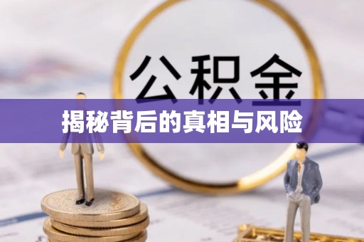 蔡甸揭秘背后的真相与风险