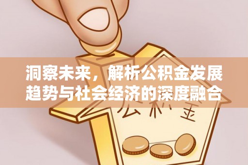 蔡甸洞察未来，解析公积金发展趋势与社会经济的深度融合