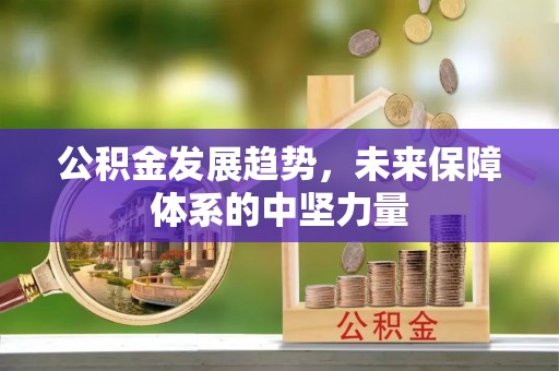 蔡甸公积金发展趋势，未来保障体系的中坚力量