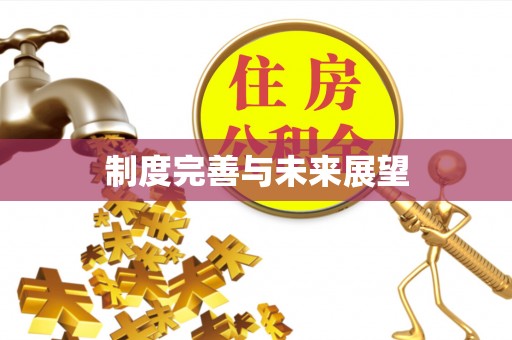 蔡甸制度完善与未来展望