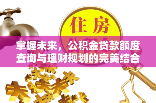 蔡甸掌握未来，公积金贷款额度查询与理财规划的完美结合