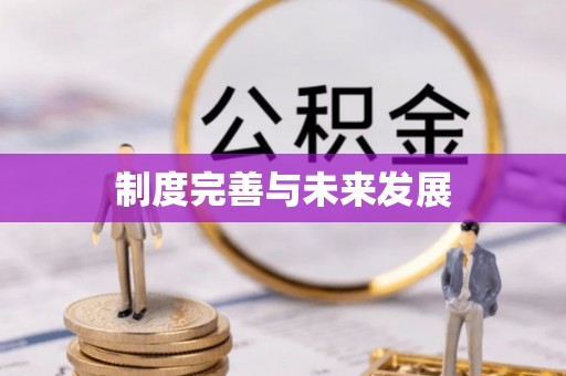蔡甸制度完善与未来发展