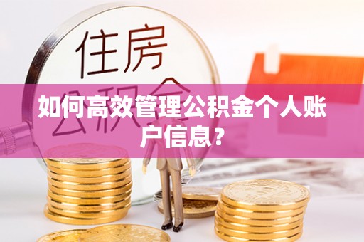 蔡甸如何高效管理公积金个人账户信息？