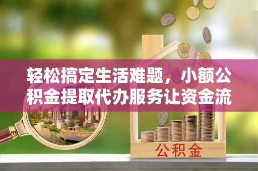 蔡甸轻松搞定生活难题，小额公积金提取代办服务让资金流动更便捷