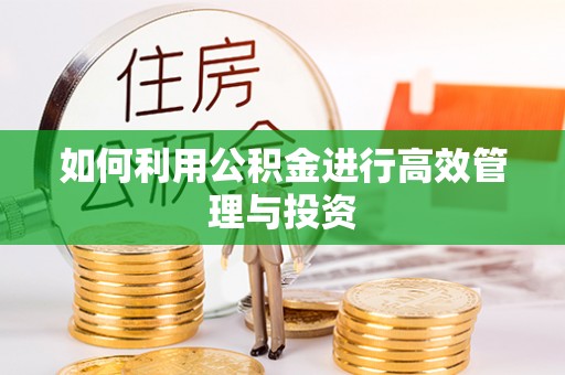 蔡甸如何利用公积金进行高效管理与投资