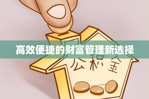 蔡甸高效便捷的财富管理新选择