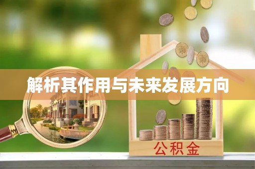 蔡甸解析其作用与未来发展方向
