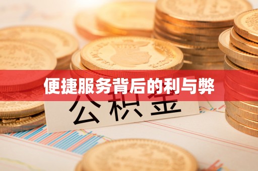 蔡甸便捷服务背后的利与弊