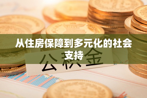 蔡甸从住房保障到多元化的社会支持