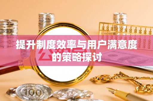 蔡甸提升制度效率与用户满意度的策略探讨